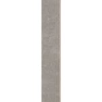 Dlažba Tassero gris Rekt. Sokl 8×59,7