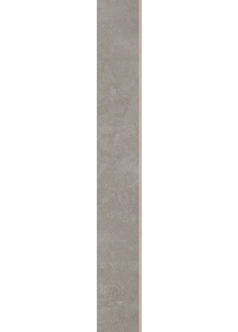 Dlažba Tassero gris Rekt. Sokl 8×59,7