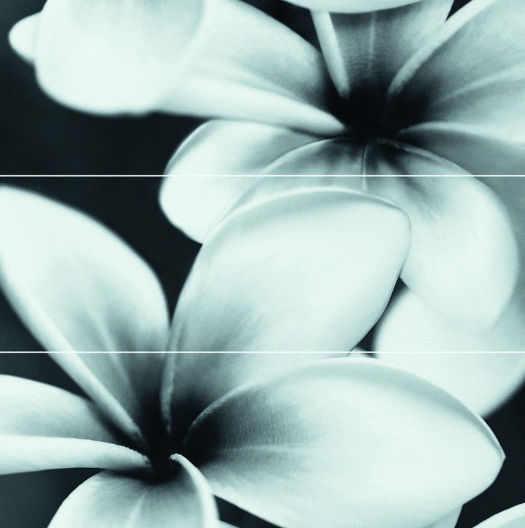Obklad PretAPorter Flower grey composition 75×75